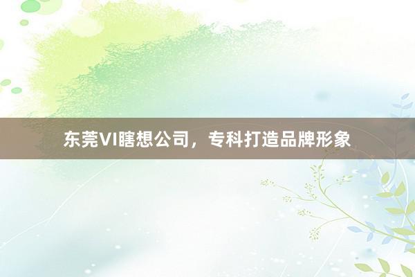 东莞VI瞎想公司，专科打造品牌形象