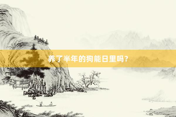养了半年的狗能日里吗？